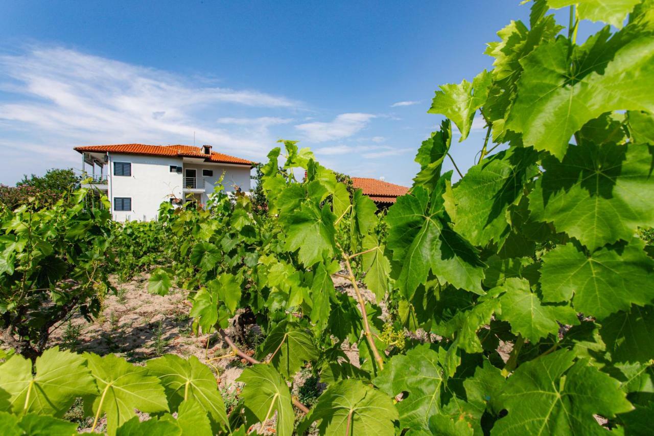 Kokkinos Apart otel Vourvourou Dış mekan fotoğraf